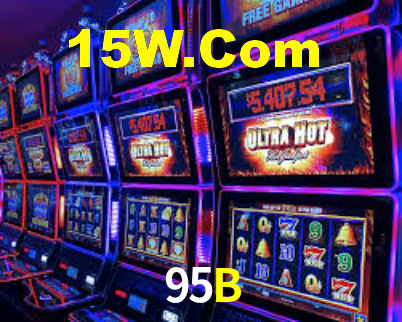 95B App Interface